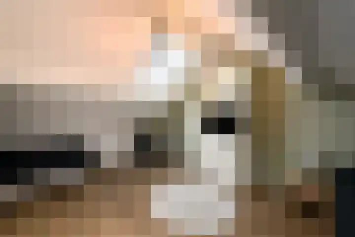 Lepeltjesheide 46 Wolvega thumbnail 27