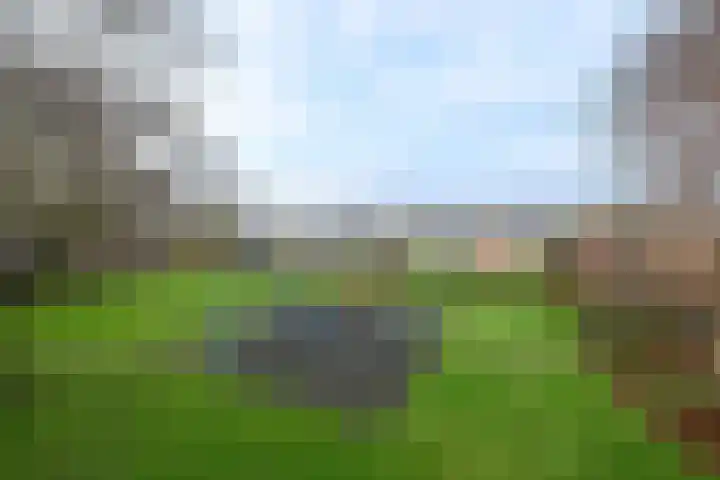 Lepeltjesheide 46 Wolvega thumbnail 29