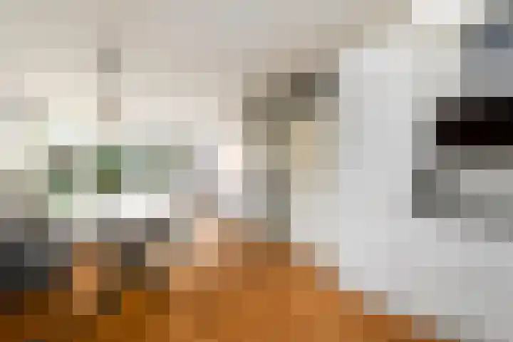 Lepeltjesheide 46 Wolvega foto 3