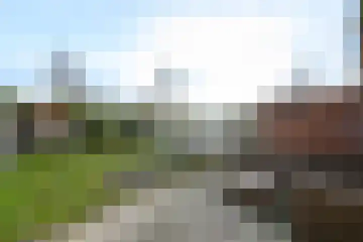 Lepeltjesheide 46 Wolvega thumbnail 30