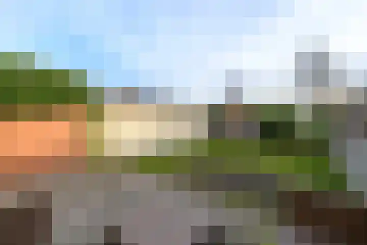 Lepeltjesheide 46 Wolvega thumbnail 31