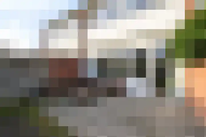 Lepeltjesheide 46 Wolvega thumbnail 32