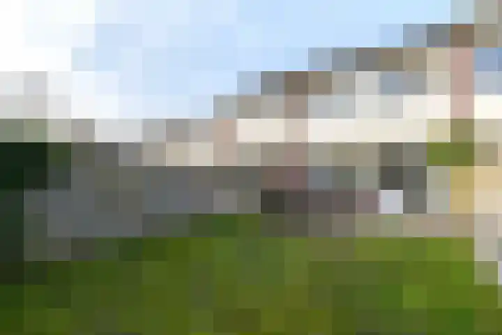 Lepeltjesheide 46 Wolvega thumbnail 34