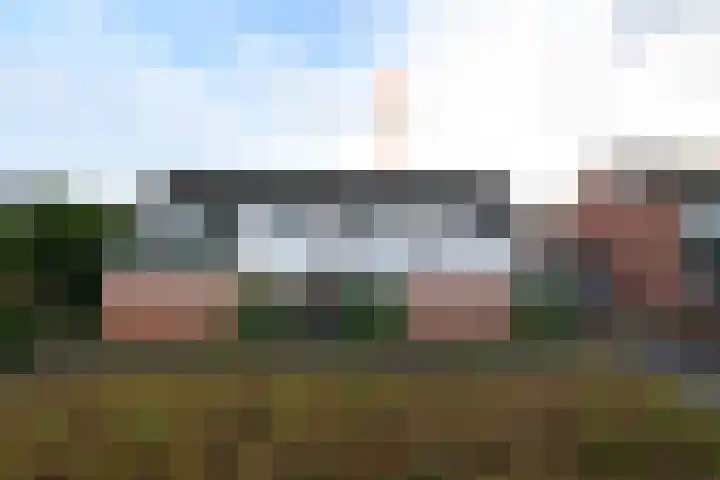 Lepeltjesheide 46 Wolvega thumbnail 37