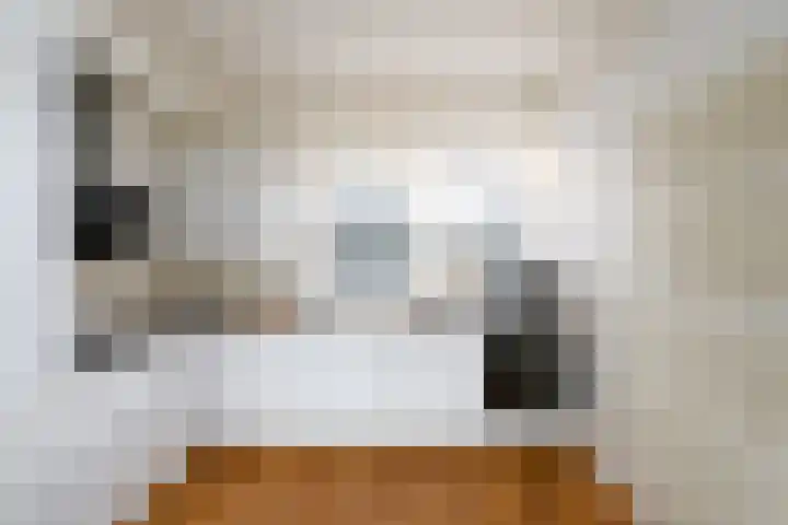 Lepeltjesheide 46 Wolvega thumbnail 4