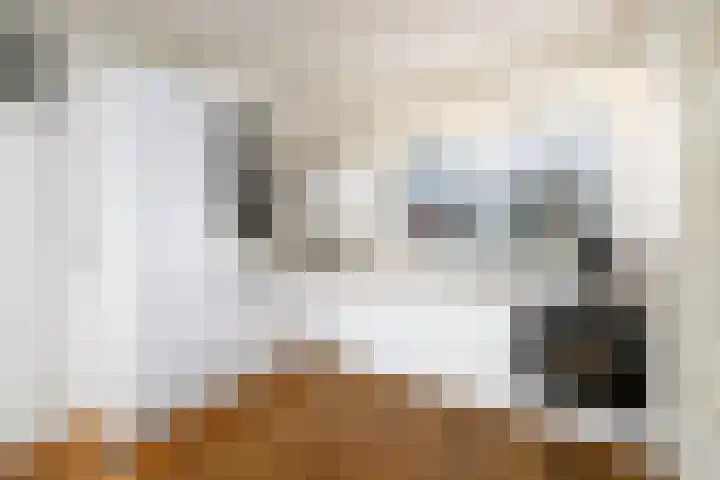 Lepeltjesheide 46 Wolvega thumbnail 5