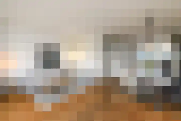 Lepeltjesheide 46 Wolvega thumbnail 7