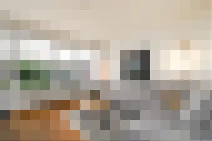 Lepeltjesheide 46 Wolvega thumbnail 8