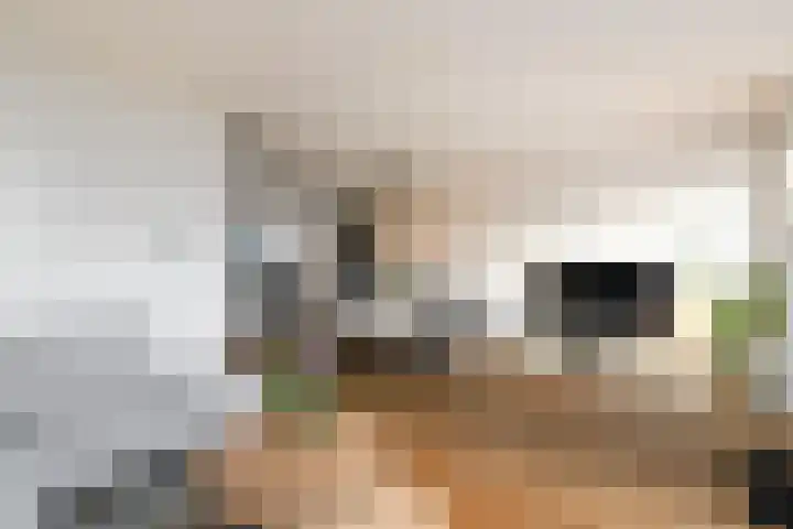 Lepeltjesheide 46 Wolvega thumbnail 9