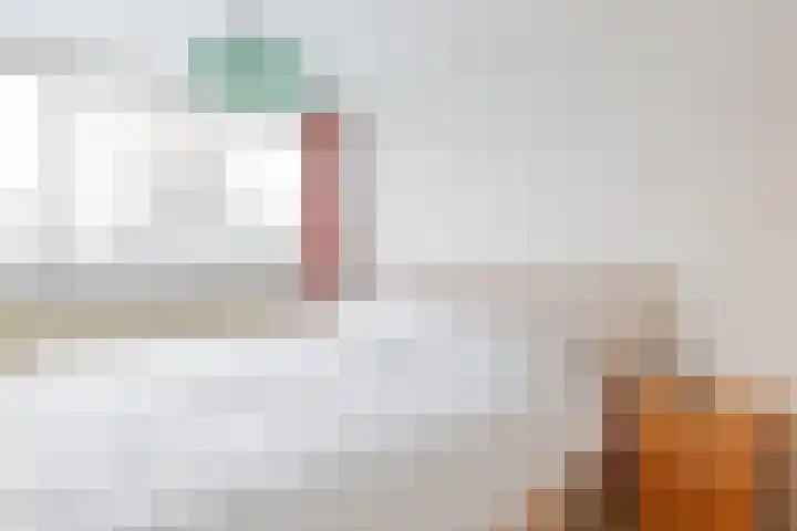 Lepeltjesheide 48 Wolvega thumbnail 17