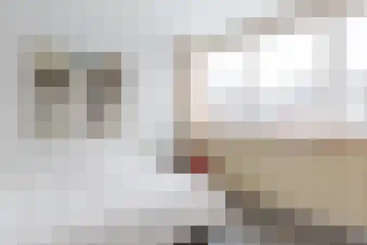 Lepeltjesheide 48 Wolvega thumbnail 19