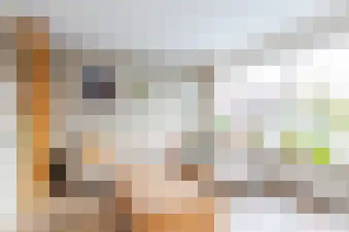 Lepeltjesheide 48 Wolvega thumbnail 8