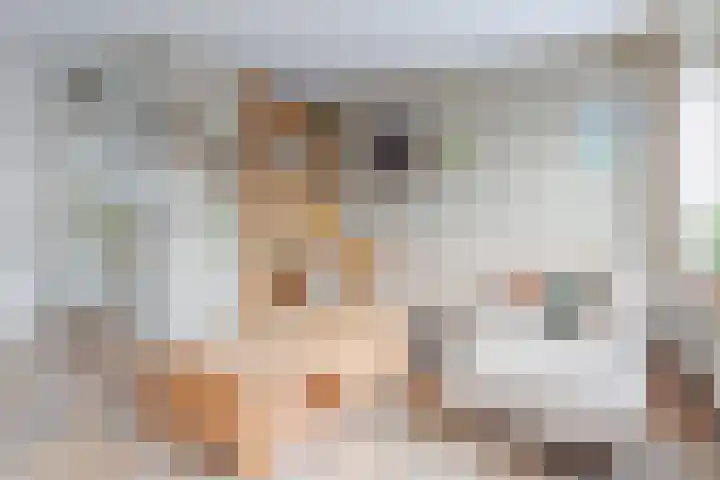 Lepeltjesheide 48 Wolvega thumbnail 9