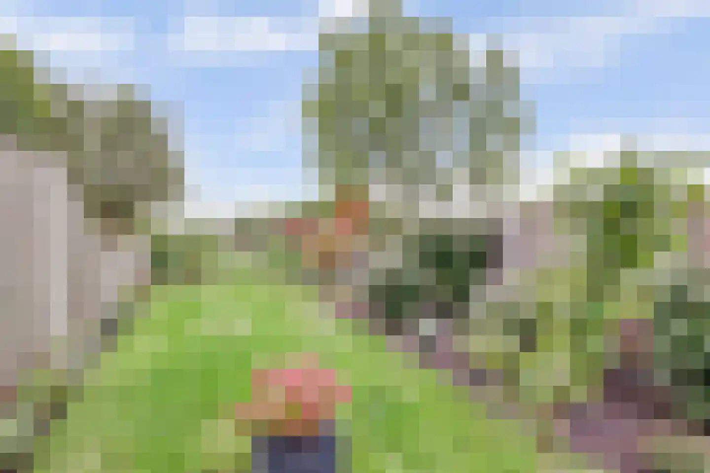 Lepeltjesheide 59 Wolvega thumbnail 28