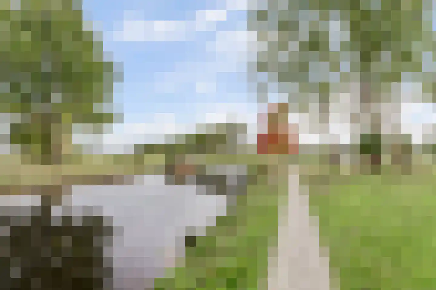 Lepeltjesheide 59 Wolvega thumbnail 34
