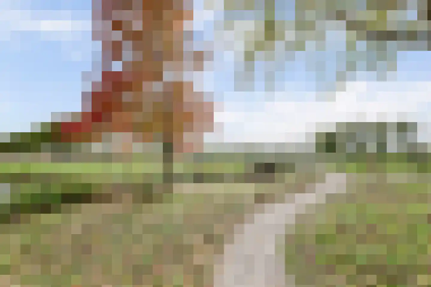 Lepeltjesheide 59 Wolvega thumbnail 36