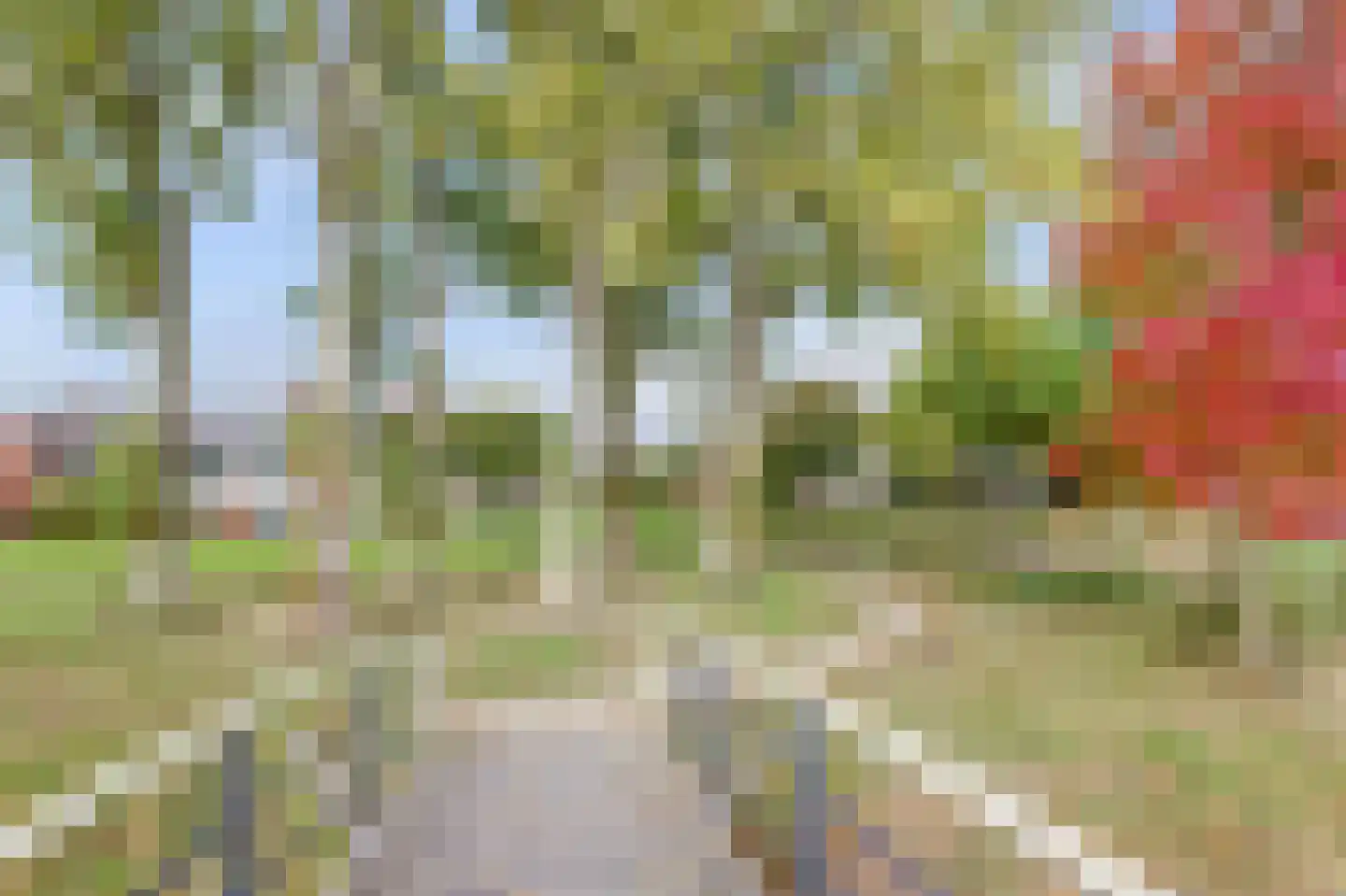 Lepeltjesheide 59 Wolvega thumbnail 37