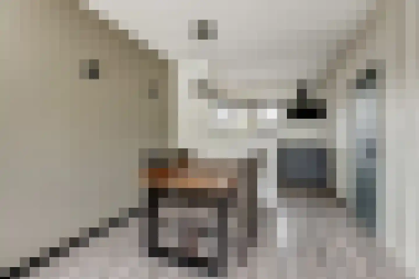 Lepeltjesheide 59 Wolvega thumbnail 7