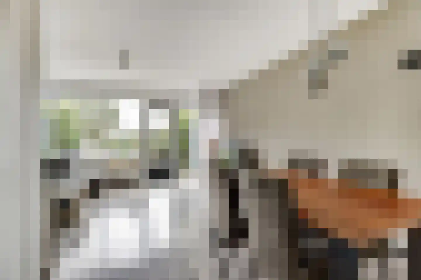 Lepeltjesheide 59 Wolvega thumbnail 8