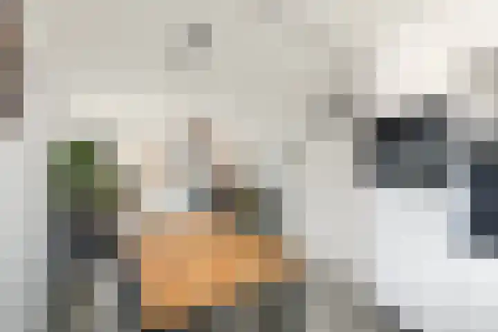 Lepeltjesheide 7 Wolvega thumbnail 10