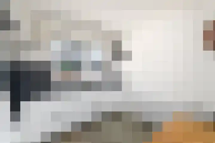 Lepeltjesheide 7 Wolvega thumbnail 11