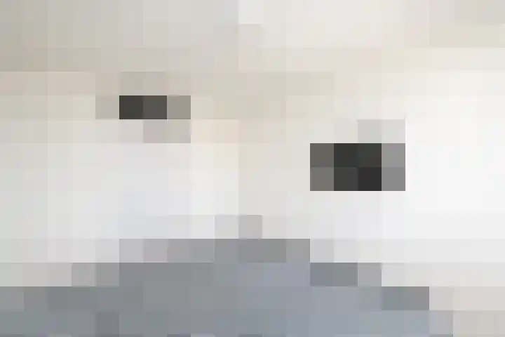 Lepeltjesheide 7 Wolvega thumbnail 18