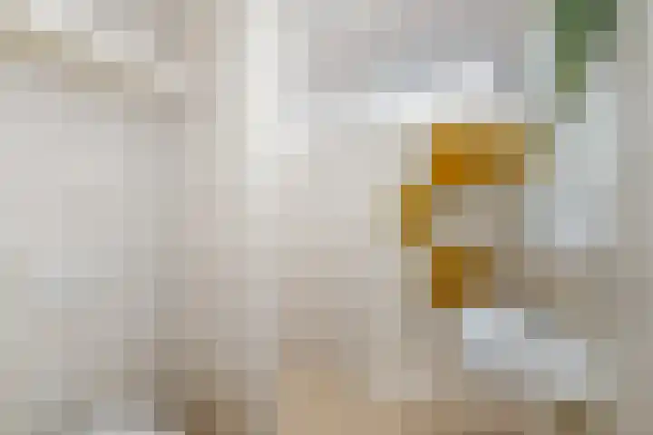Lepeltjesheide 7 Wolvega thumbnail 23