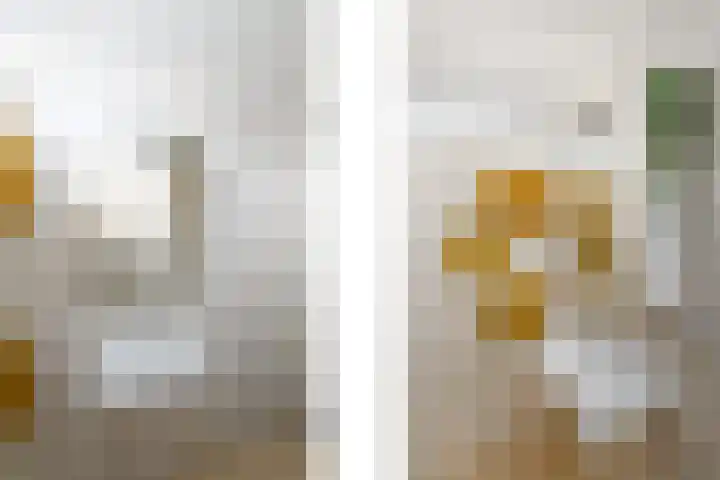 Lepeltjesheide 7 Wolvega thumbnail 24