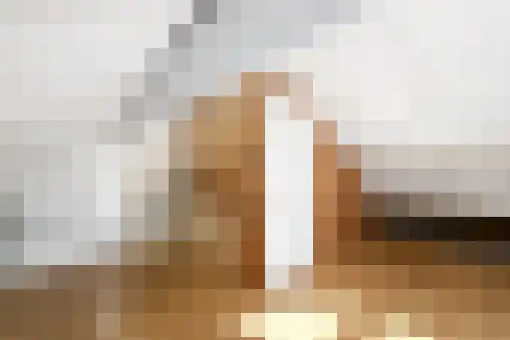 Lepeltjesheide 7 Wolvega thumbnail 29