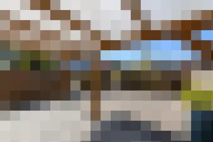 Lepeltjesheide 7 Wolvega thumbnail 32