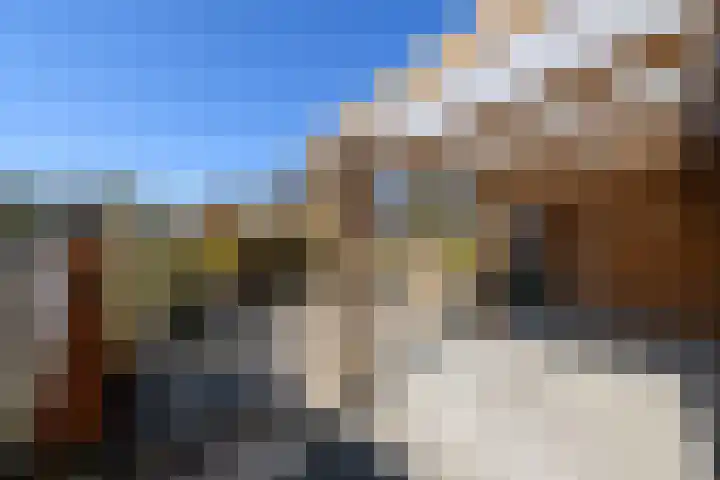 Lepeltjesheide 7 Wolvega thumbnail 33