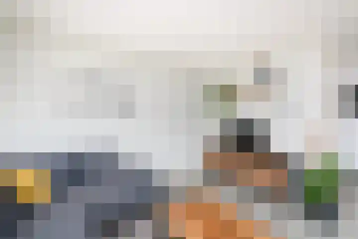 Lepeltjesheide 7 Wolvega thumbnail 4