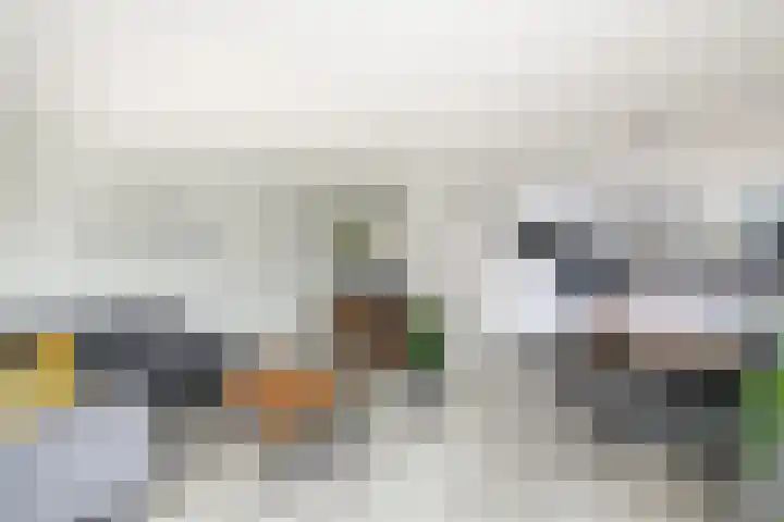 Lepeltjesheide 7 Wolvega thumbnail 6