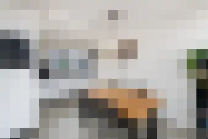 Lepeltjesheide 7 Wolvega thumbnail 8