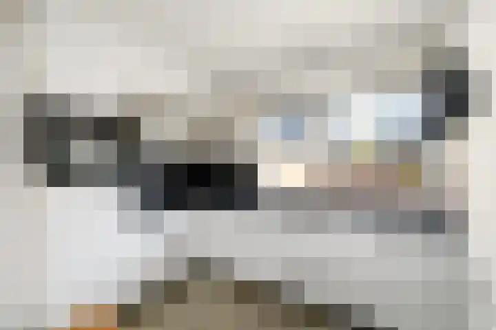 Lepeltjesheide 7 Wolvega thumbnail 9