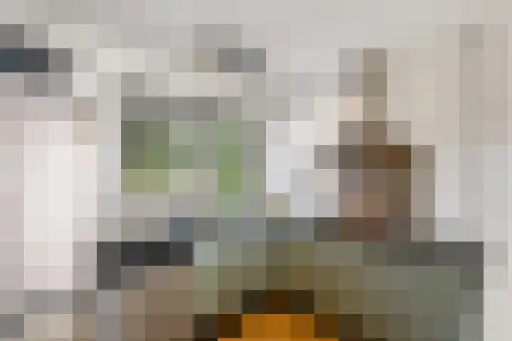 Lepeltjesheide 93 Wolvega thumbnail 10