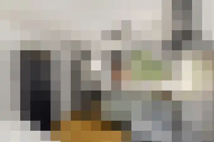 Lepeltjesheide 93 Wolvega thumbnail 11