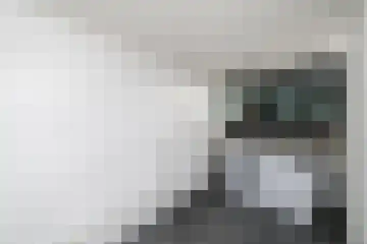 Lepeltjesheide 93 Wolvega thumbnail 13