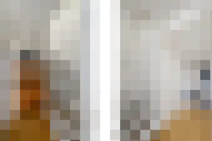Lepeltjesheide 93 Wolvega thumbnail 16