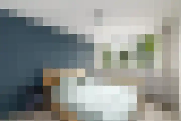 Lepeltjesheide 93 Wolvega thumbnail 17