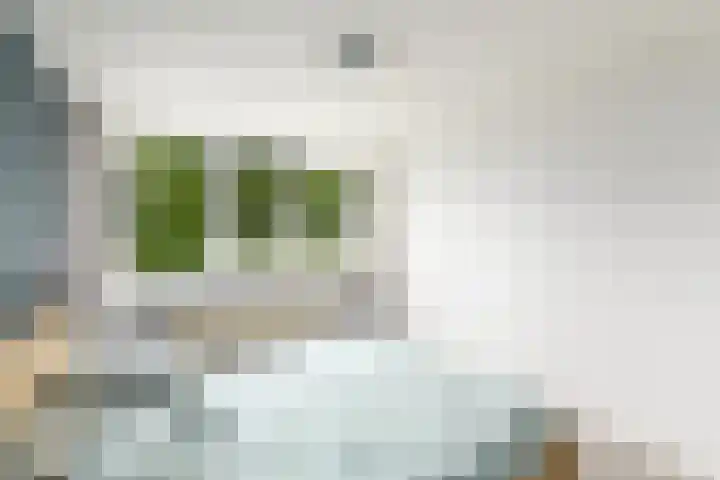 Lepeltjesheide 93 Wolvega thumbnail 18
