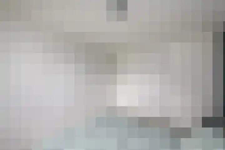 Lepeltjesheide 93 Wolvega thumbnail 20
