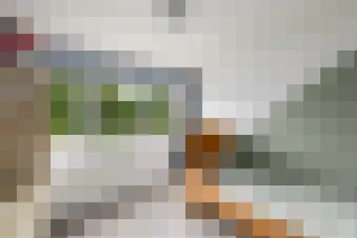 Lepeltjesheide 93 Wolvega thumbnail 23
