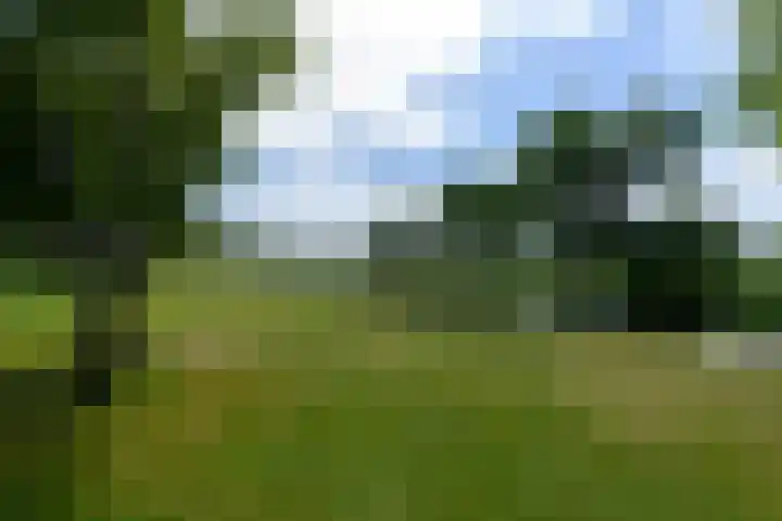 Lepeltjesheide 93 Wolvega foto 3