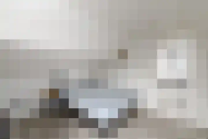Lepeltjesheide 93 Wolvega thumbnail 32