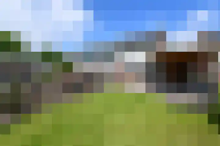 Lepeltjesheide 93 Wolvega thumbnail 34