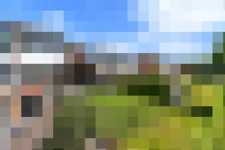 Lepeltjesheide 93 Wolvega thumbnail 37