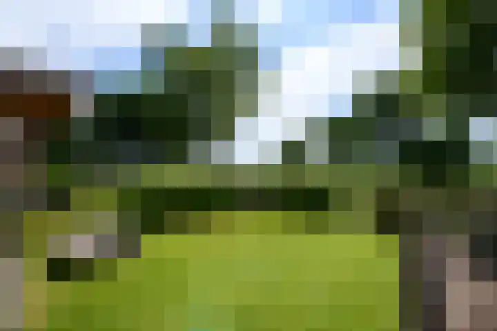 Lepeltjesheide 93 Wolvega thumbnail 38