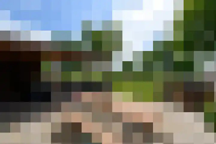 Lepeltjesheide 93 Wolvega thumbnail 39