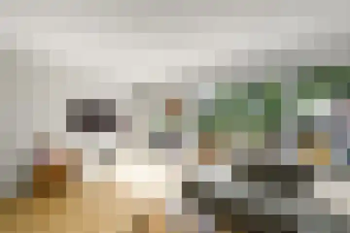 Lepeltjesheide 93 Wolvega thumbnail 4